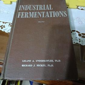 【英文原版】INDUSTRIAL FERMENTATIONS (Volum 1) 【工业发酵第一卷】