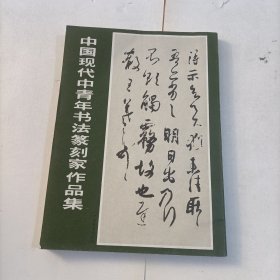 中国现代中青年书法篆刻家作品集6.8包邮