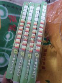 园林植物病虫害防治图谱（全四卷）彩版 书边角略有破损。书内页干净，无写字和勾线