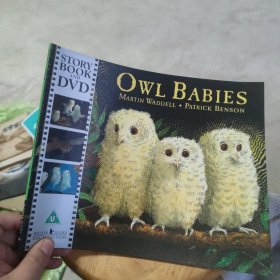 OWL BABIES