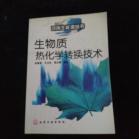 可再生能源丛书——生物质热化学转换技术