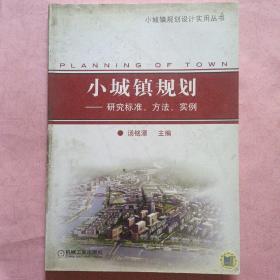 小城镇规划  研究标准 方法实例