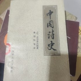 中国诗史 安徽文艺出版社