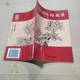 牡丹白描图集