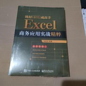 练好套路成高手：Excel商务应用实战精粹【没拆封，品如图】