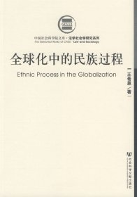 全球化中的民族過程
