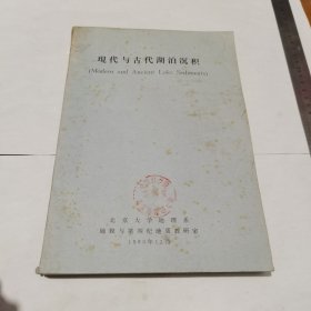 现代与古代湖泊沉积