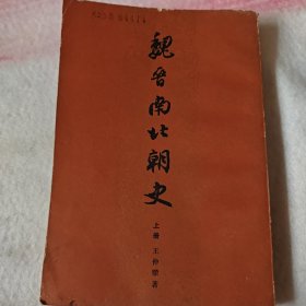 魏晋南北朝史