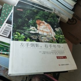 左手倒影.右手年华