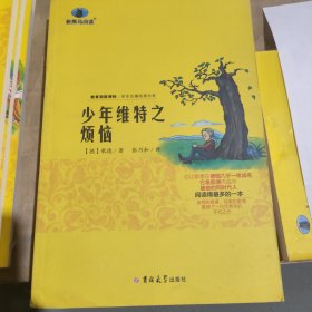 少年维特之烦恼