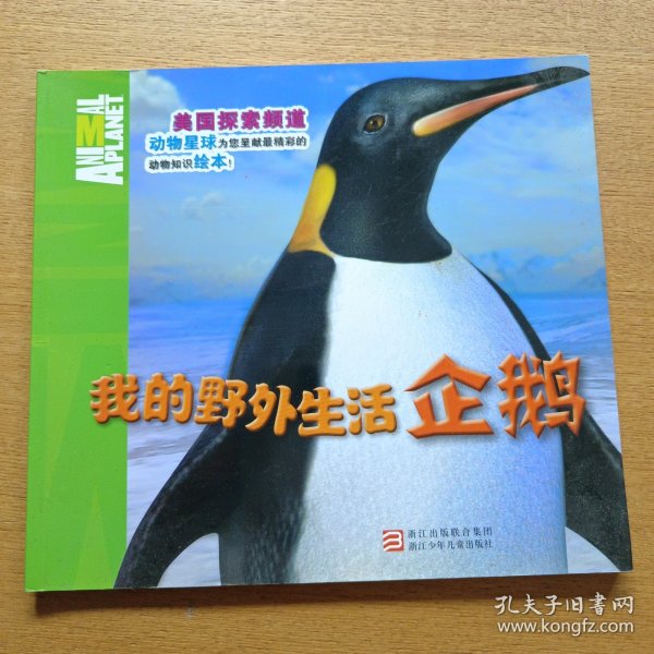我的野外生活：企鹅