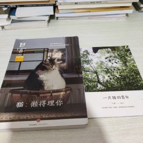 Lens·目客004·猫：懒得理你：我们爱猫的自由，和它几乎忘恩负义的性格……