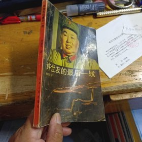 许世友的最后一战