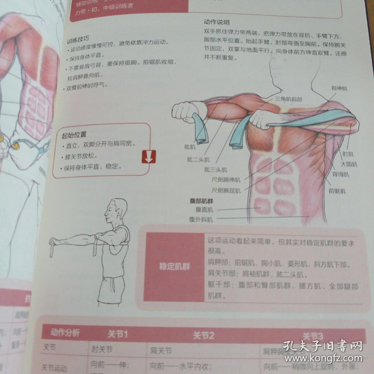 肌肉力量训练解剖图谱（新版）