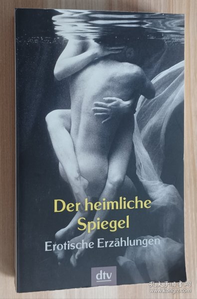 德文书 Der heimliche Spiegel von Lisa Tuttle (Herausgeber)
