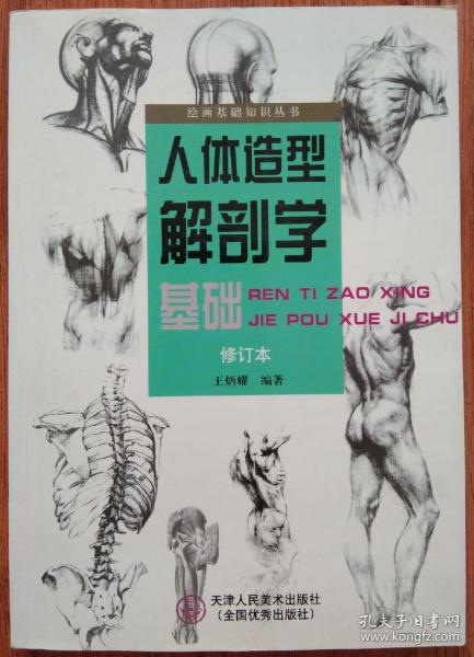 人体造型解剖学基础