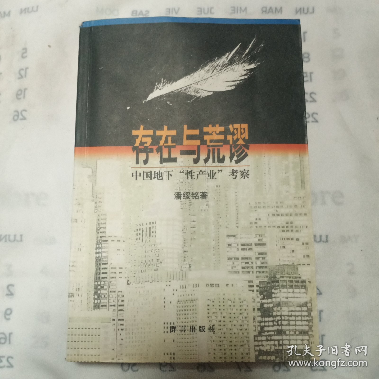 存在与荒谬：中国地下“性产业”考察