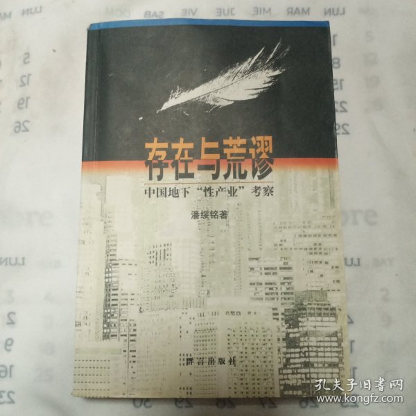 存在与荒谬：中国地下“性产业”考察