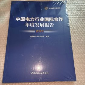 中国电力行业国际合作年度发展报告2023