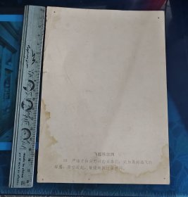 画片 飞跃铁丝网【白虎团】