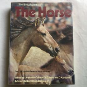 The Encyclopedia of The Horse Every Recognized Breed of Horse and Pony  马的百科全书