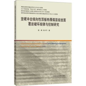 坚硬冲击倾向性顶板特厚煤层综放面覆岩破坏规律与控制研究