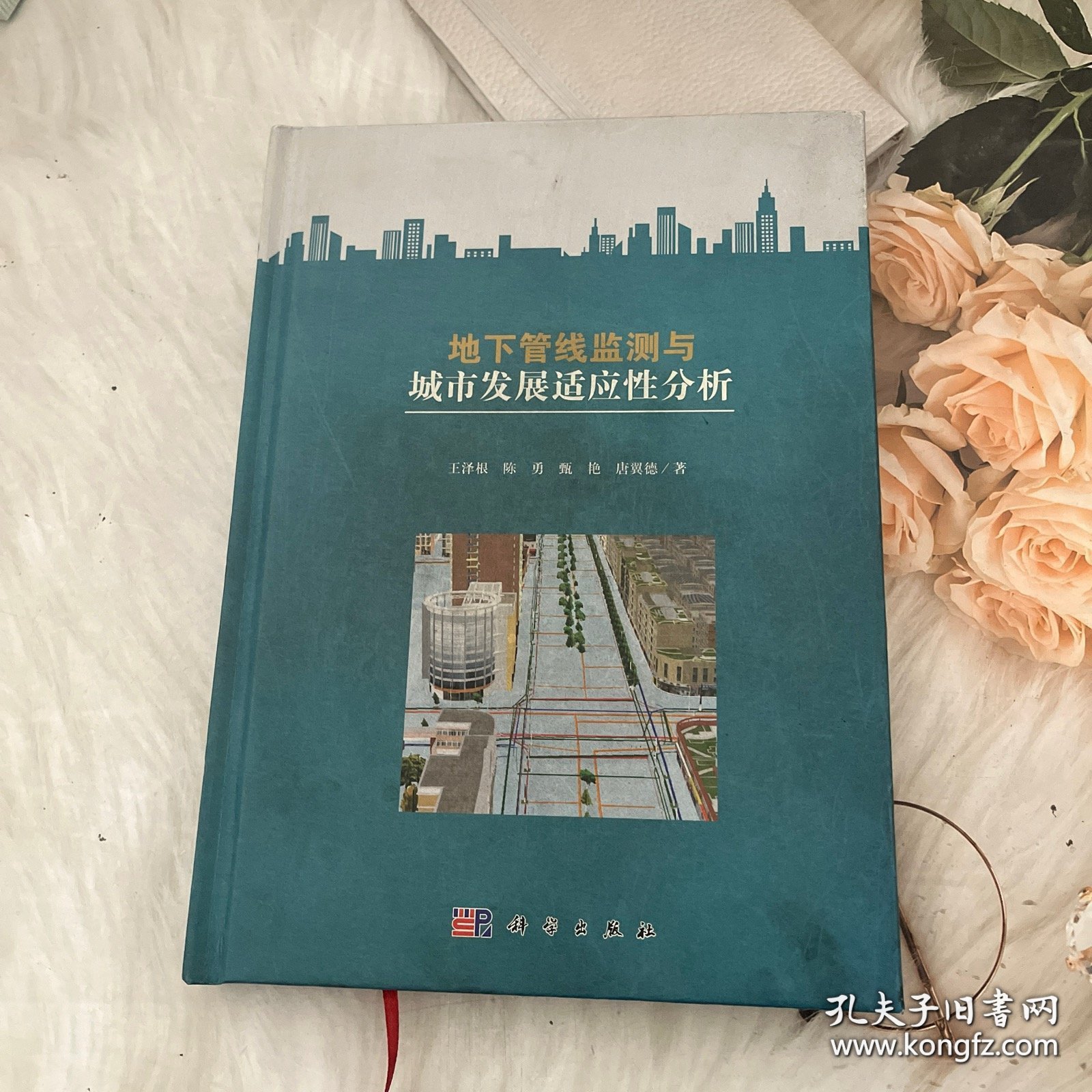 地下管线监测与城市发展适应性分析