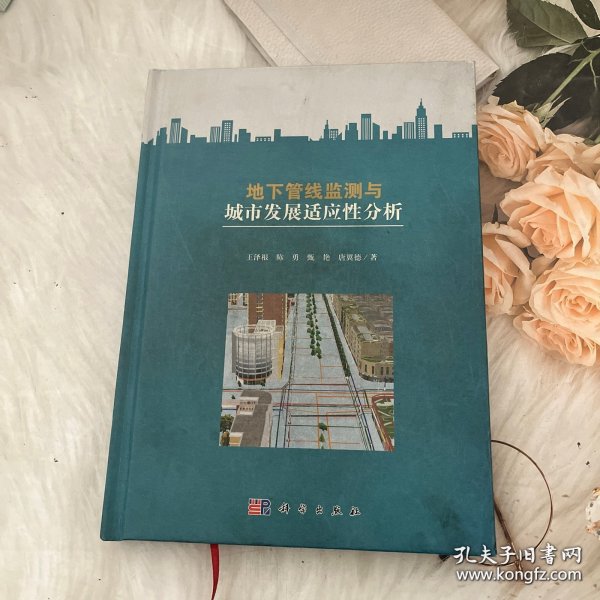 地下管线监测与城市发展适应性分析