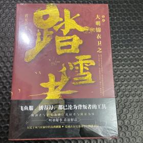大明锦衣卫之踏雪者2