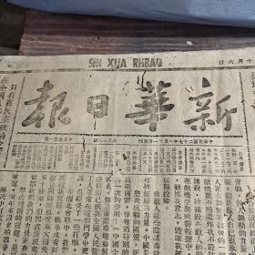 新华日报   第538号