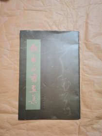 魏启后书画集