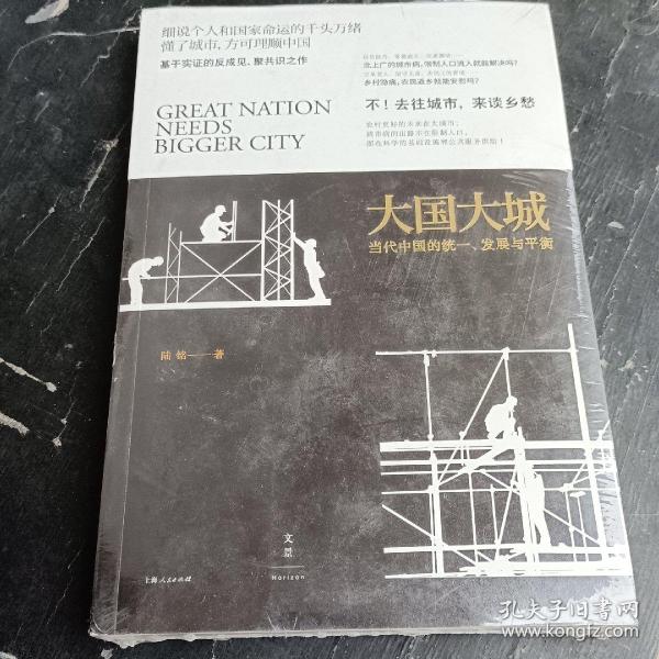 大国大城：当代中国的统一、发展与平衡