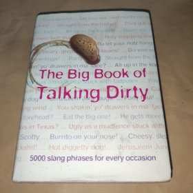 英文原版 THE BIG BOOK OF TALKING DIRTY