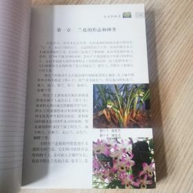 兰花栽培实用技法 安徽科学技术出版