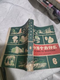 十萬個為什么(6)