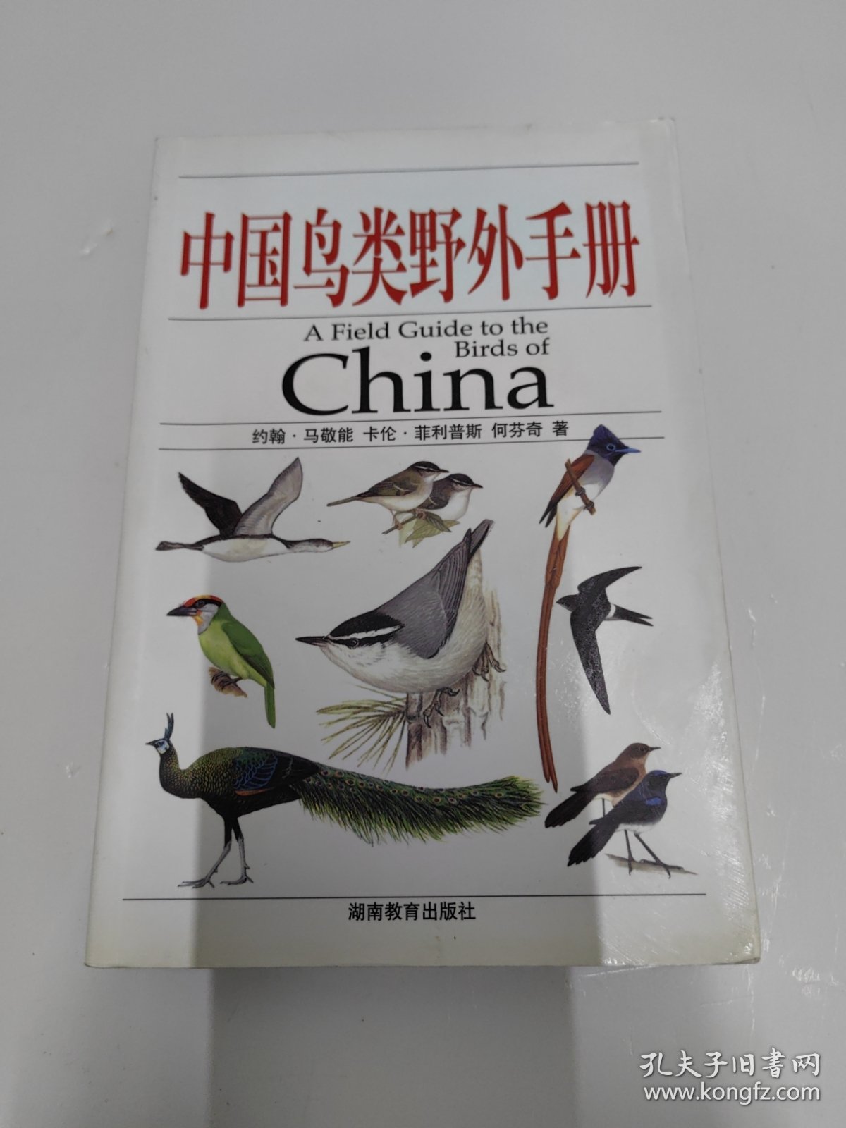 中国鸟类野外手册