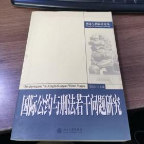 国际公约与刑法若干问题研究