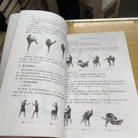 “十三五”体育俱乐部系列丛书：武术散打