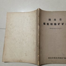 湖南省煤炭坝煤矿矿志（明代末年至公元1980年）