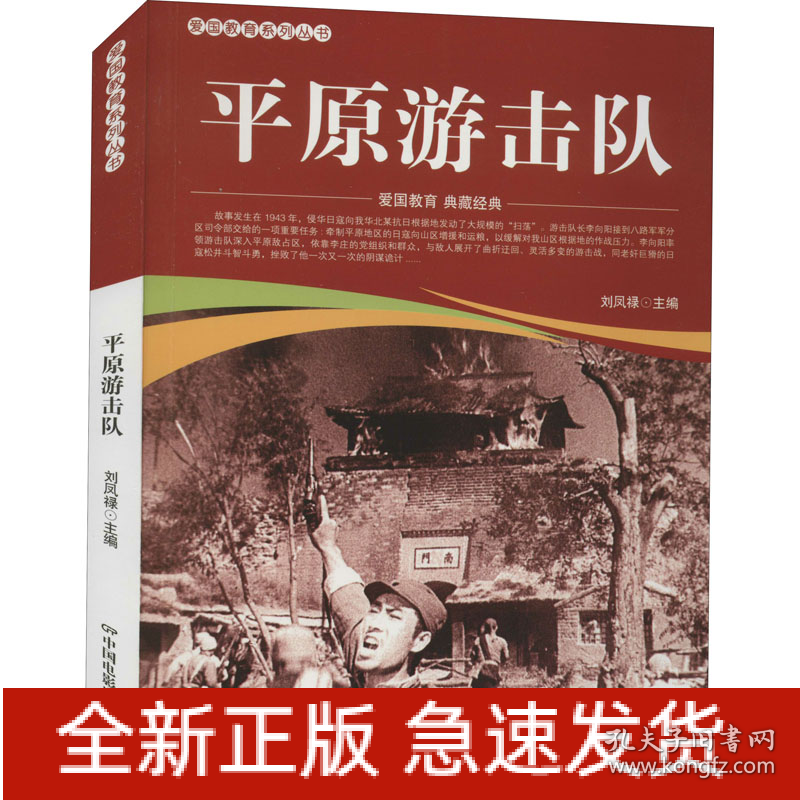 平原游击队