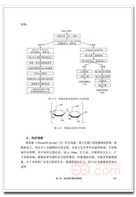 海洋源生物刺激剂（海洋功能性资源技术丛书）