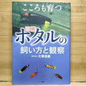 日文 こころも育つホタルの飼い方と観察 図解 大場 信義 著