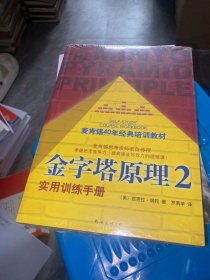 金字塔原理2：实用训练手册