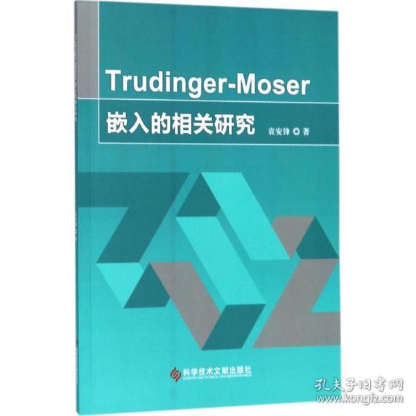 truer-moser嵌入的相关研究 文教科普读物 袁安锋  新华正版