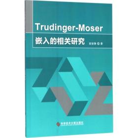 truer-moser嵌入的相关研究 文教科普读物 袁安锋  新华正版