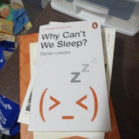 Why Can't We Sleep 现货 为什么我们会失眠 英文原版