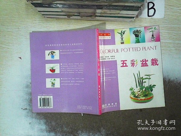 时尚室内花艺生活坊丛书：五彩盆栽
