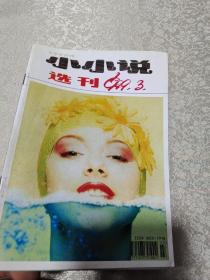 小小说选刊1999年3