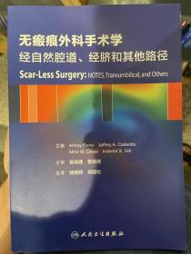 无瘢痕外科手术学：经自然腔道、经脐和其他路径（翻译版）