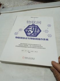 物联网之魂：物联网协议与物联网操作系统